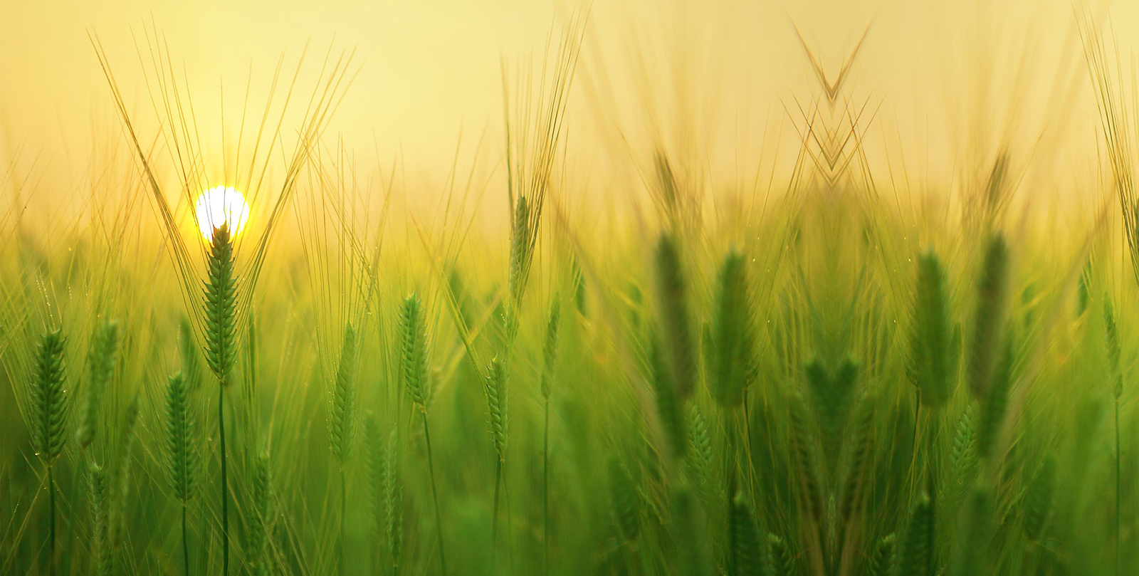 Bootstrap Touch Slider