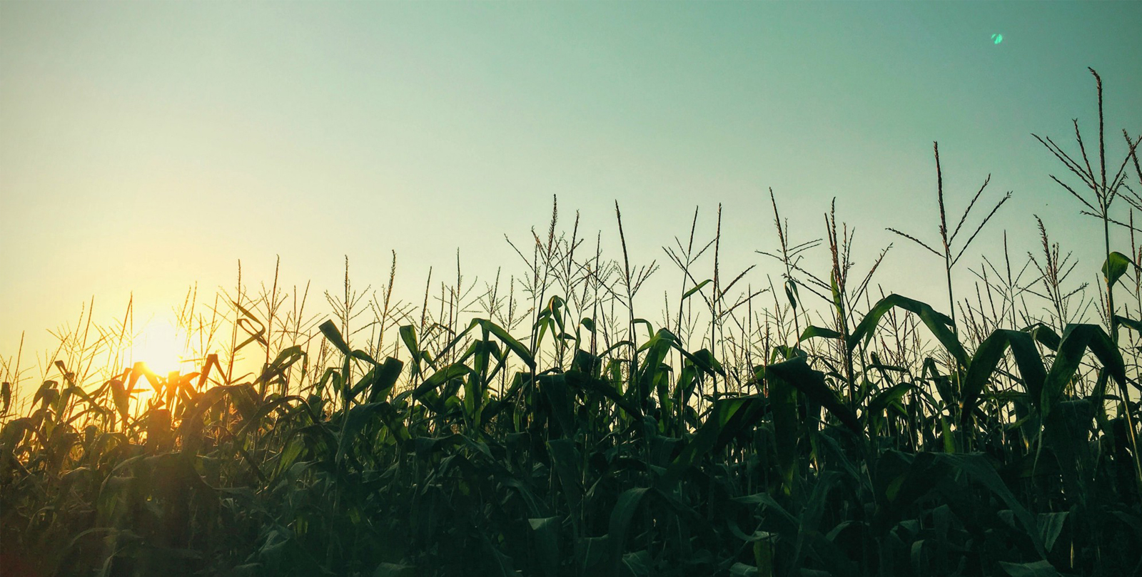 Bootstrap Touch Slider